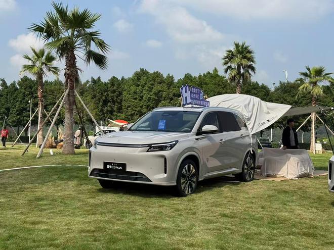 1764831422662399.jpg 1204蓝电.jpg