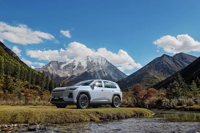 1772011038121960.jpg 0225威兰达.jpg