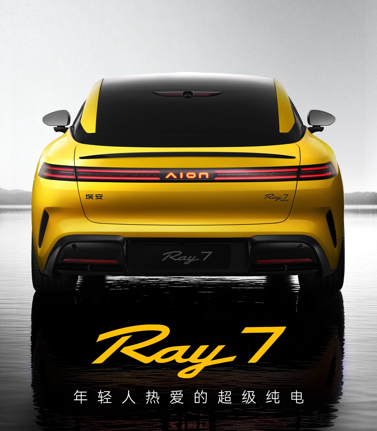 1787129409149297.jpg 0819埃安2.jpg